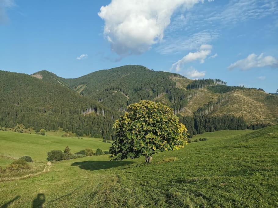 Вилла Drevenica Harmony Ружомберок Экстерьер фото