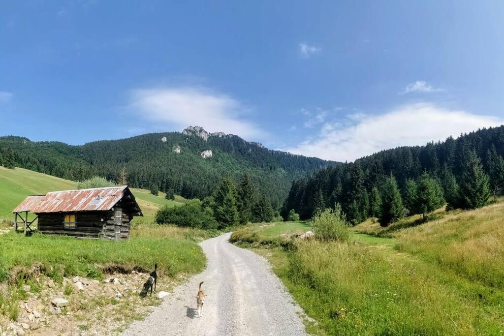 Вилла Drevenica Harmony Ружомберок Экстерьер фото